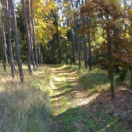 Gæstehus Penzion Eqilon *