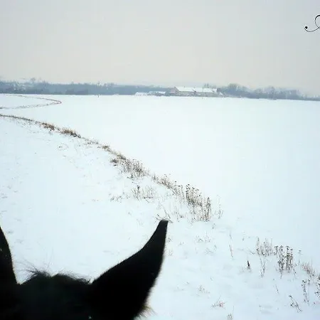 Penzion Eqilon Gæstehus