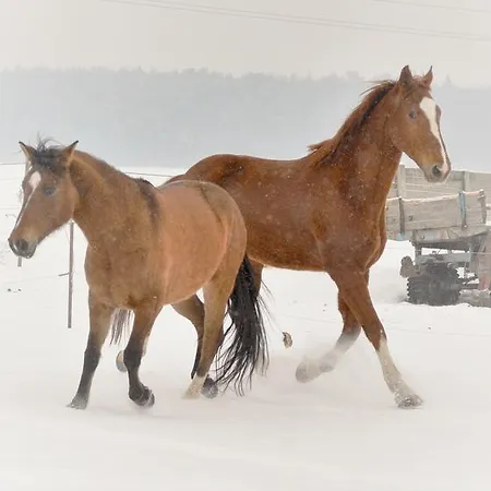 Penzion Eqilon Mělník