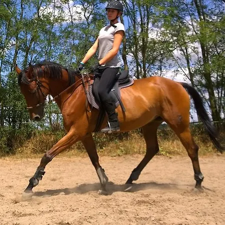 Penzion Eqilon Gæstehus *