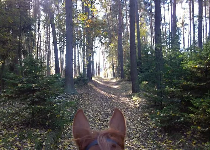 Penzion Eqilon Guest house Melnik