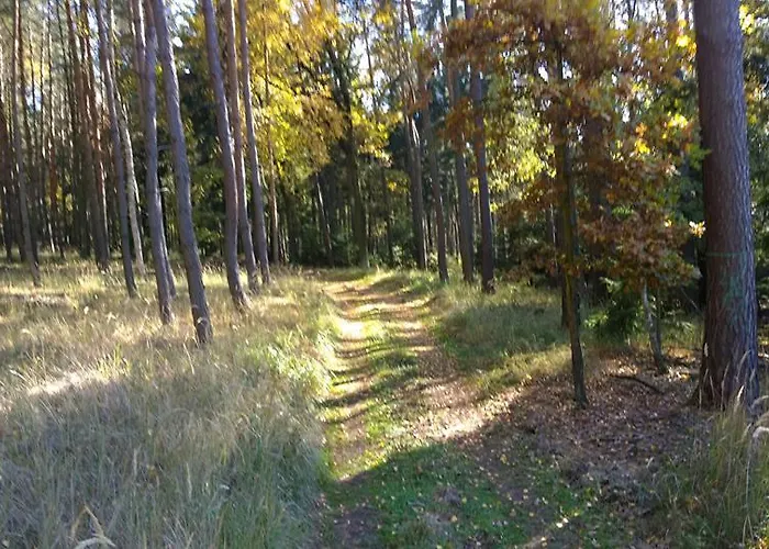 ゲストハウス Penzion Eqilon *