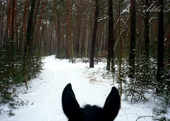 ゲストハウス Penzion Eqilon Mělník