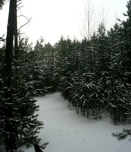 Penzion Eqilon ゲストハウス Mělník