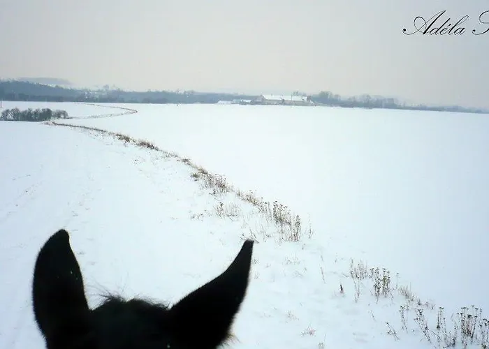 Penzion Eqilon ゲストハウス