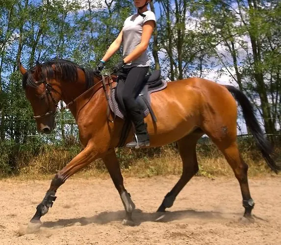 Penzion Eqilon Guest house *