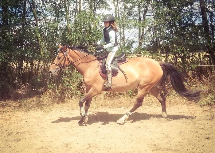 Penzion Eqilon * Melnik