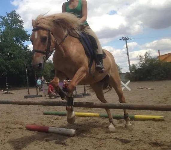 Penzion Eqilon ゲストハウス Mělník